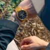 Men Nixon Watches | Sentry Chrono Gold Blue Sunray Watch