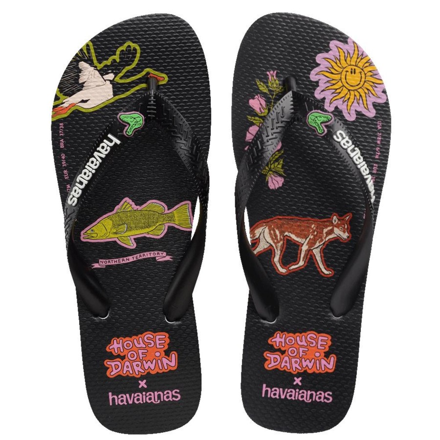 Women Havaianas Sandals & Thongs | Top House Of Darwin